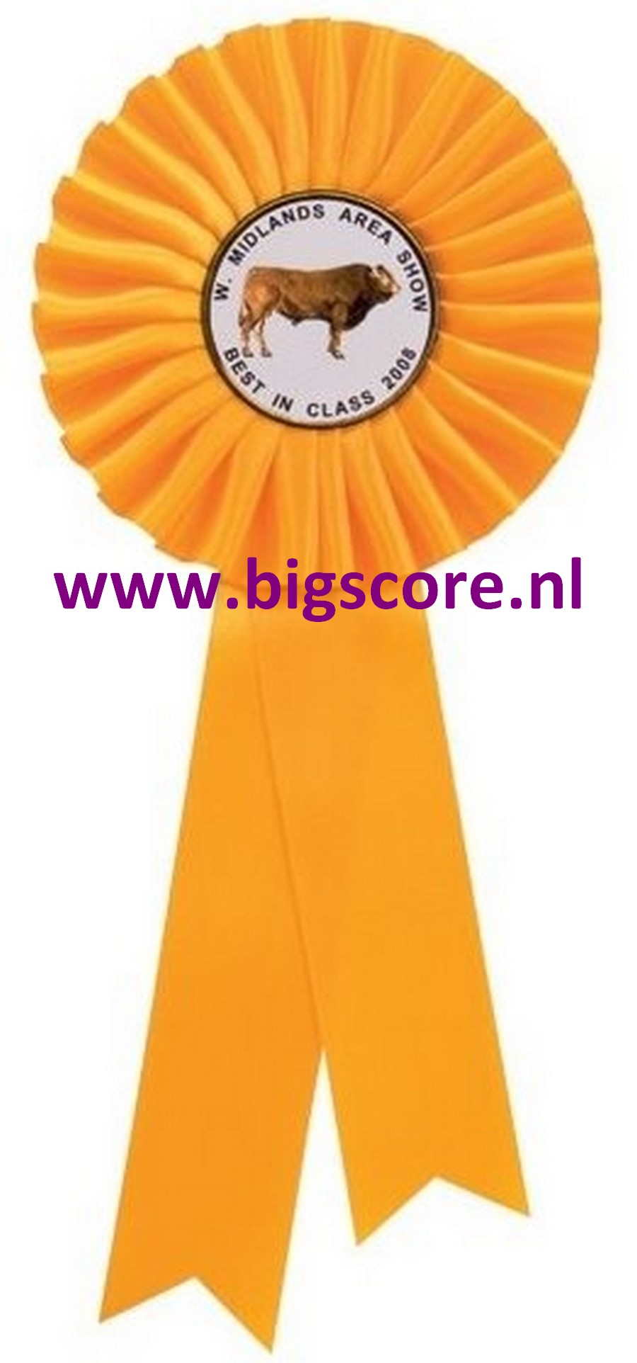 Rozet 8 Geel LAATSTE OP=OP!!